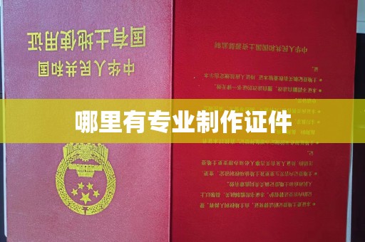 源城哪里有专业制作证件