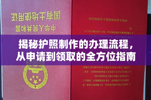 源城揭秘护照制作的办理流程，从申请到领取的全方位指南