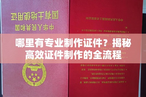 源城哪里有专业制作证件？揭秘高效证件制作的全流程
