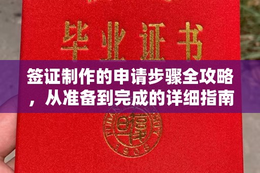 源城签证制作的申请步骤全攻略，从准备到完成的详细指南