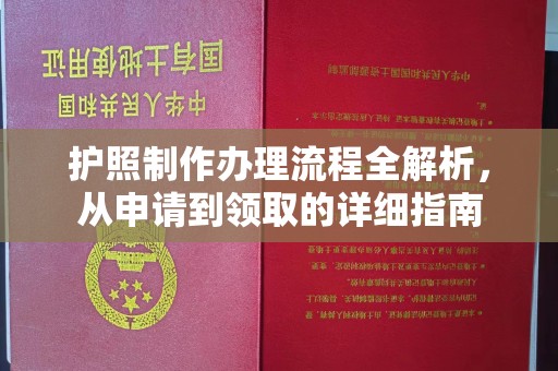 源城护照制作办理流程全解析，从申请到领取的详细指南