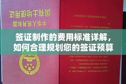 源城签证制作的费用标准详解，如何合理规划您的签证预算