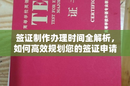 源城签证制作办理时间全解析，如何高效规划您的签证申请流程