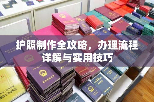 源城护照制作全攻略，办理流程详解与实用技巧